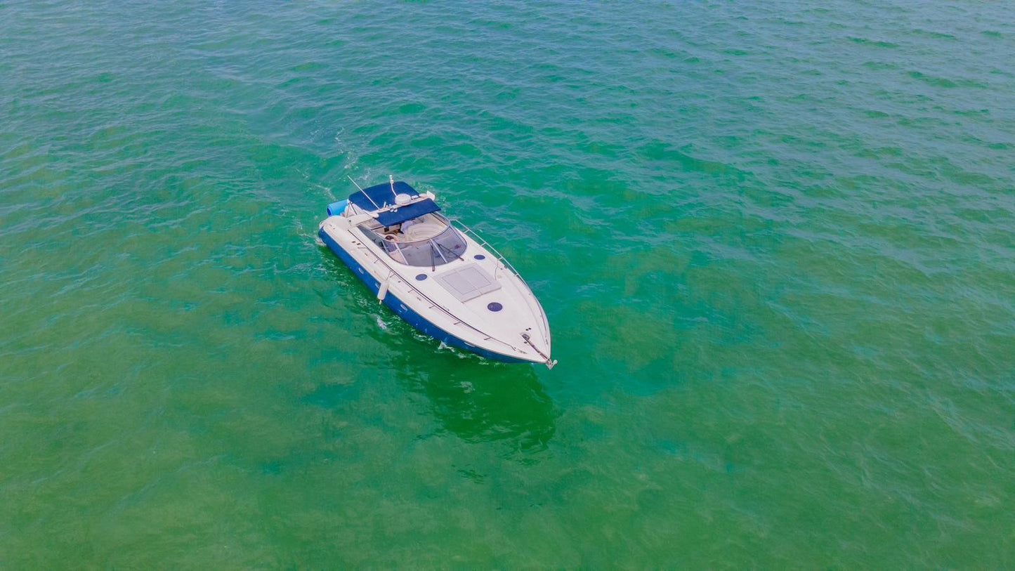 55ft Sunseeker
