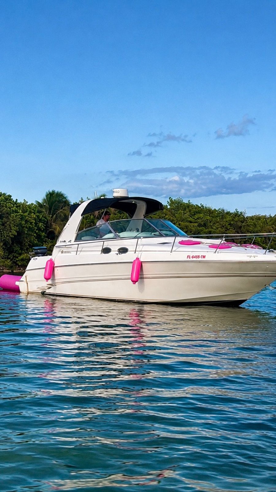 42ft Ahoy