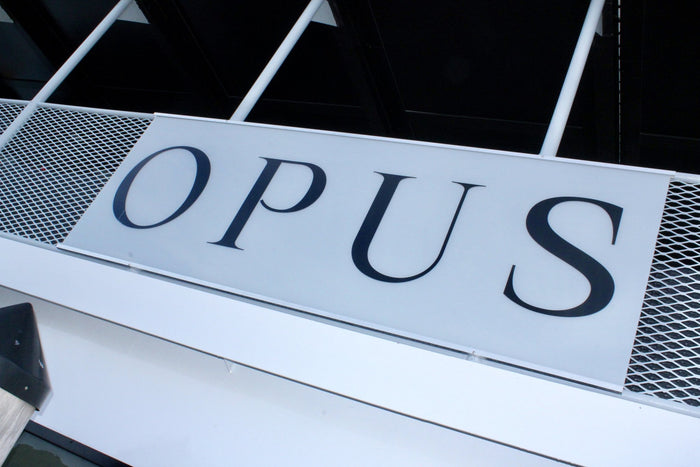 OPUS Corporate Mega Yacht