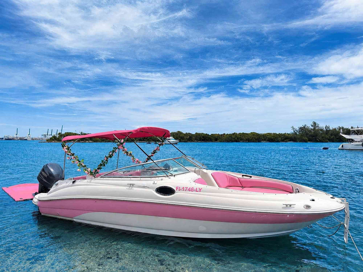 30ft Sea Ray Pink