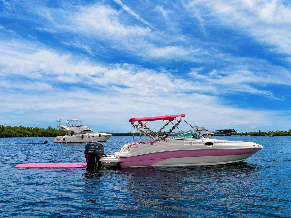 30ft Sea Ray Pink