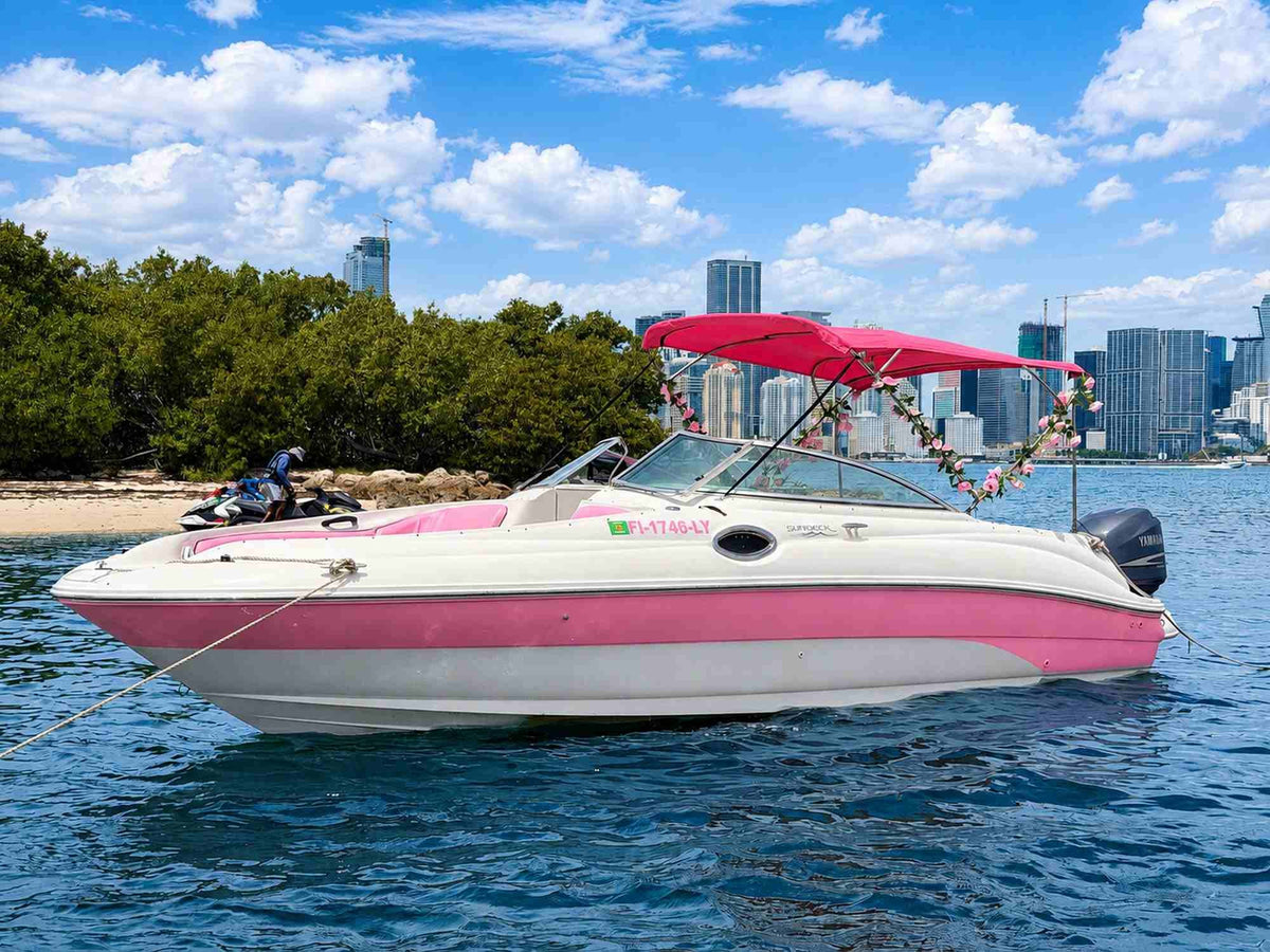 30ft Sea Ray Pink