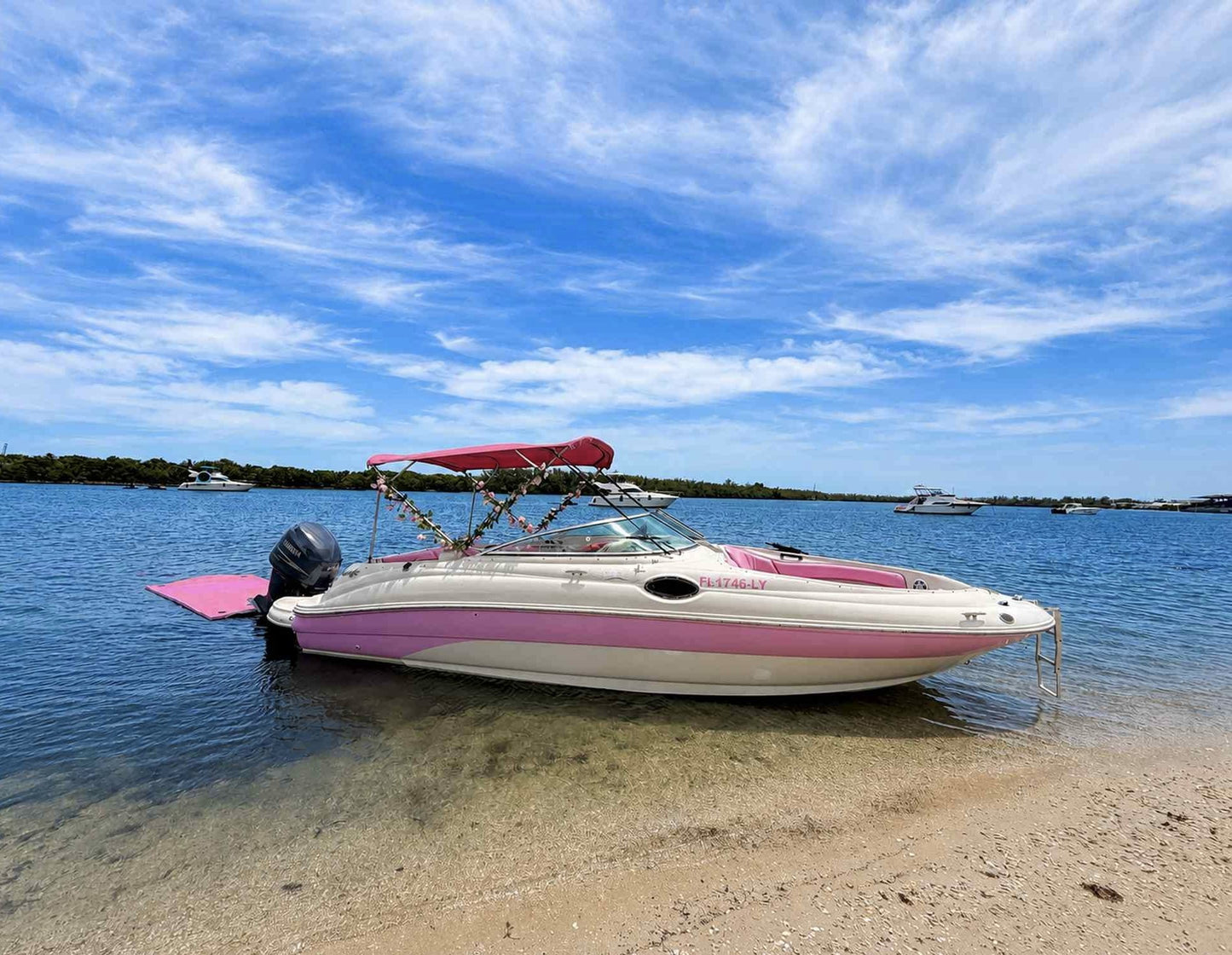 30ft Sea Ray Pink