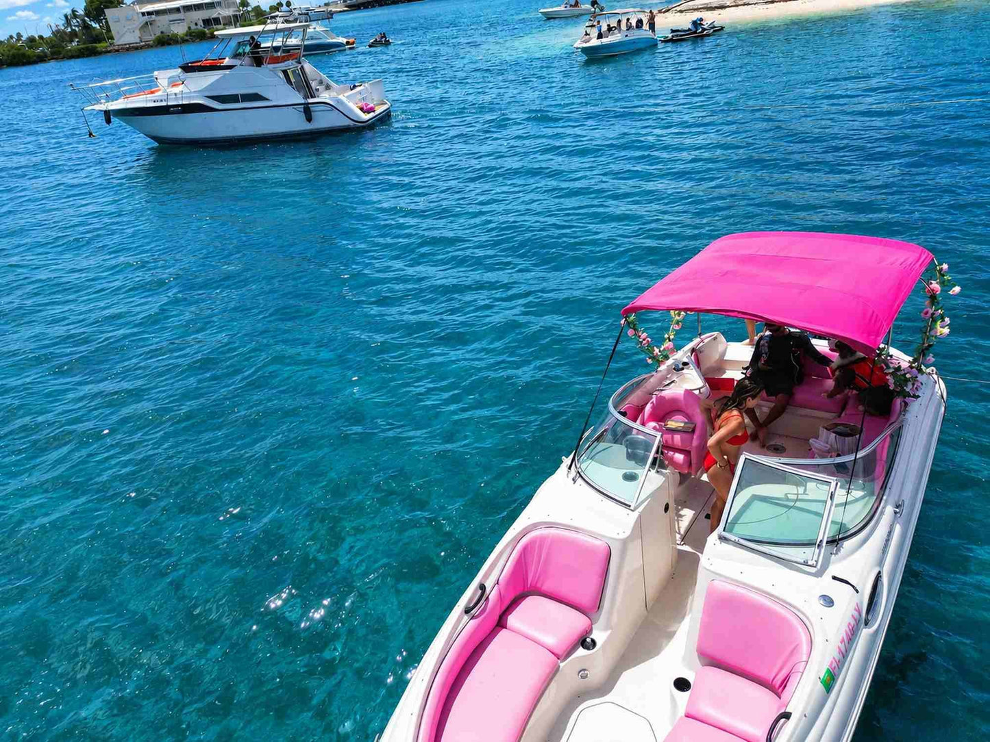 30ft Sea Ray Pink