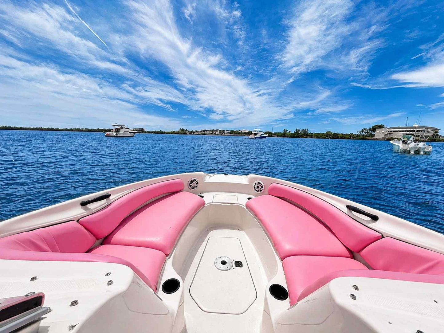 30ft Sea Ray Pink