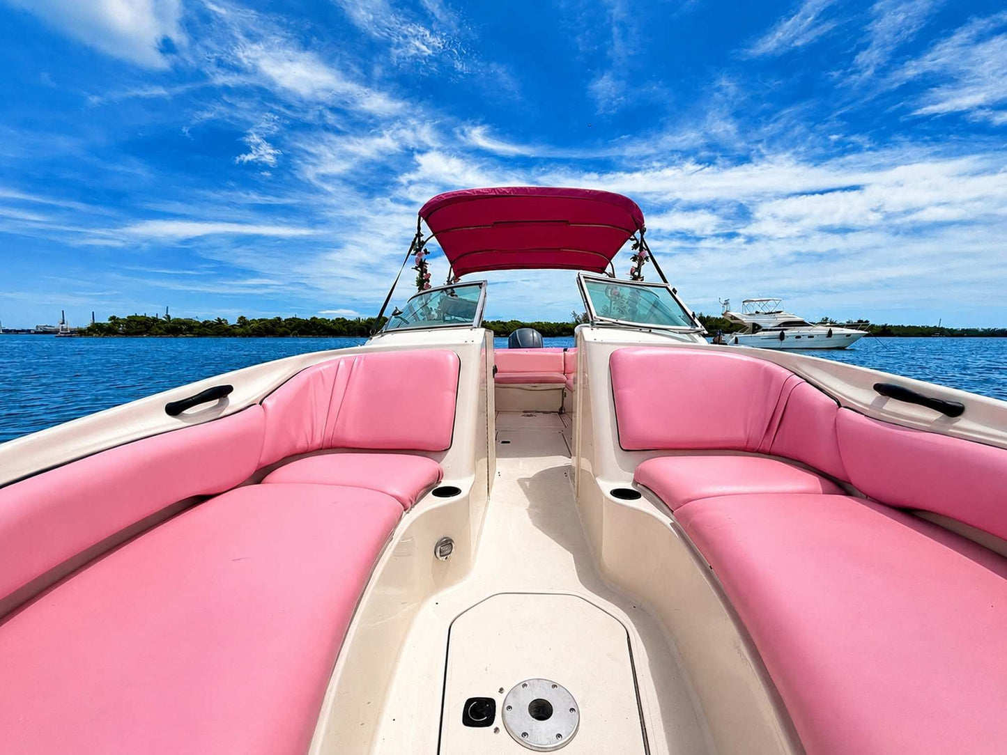 30ft Sea Ray Pink