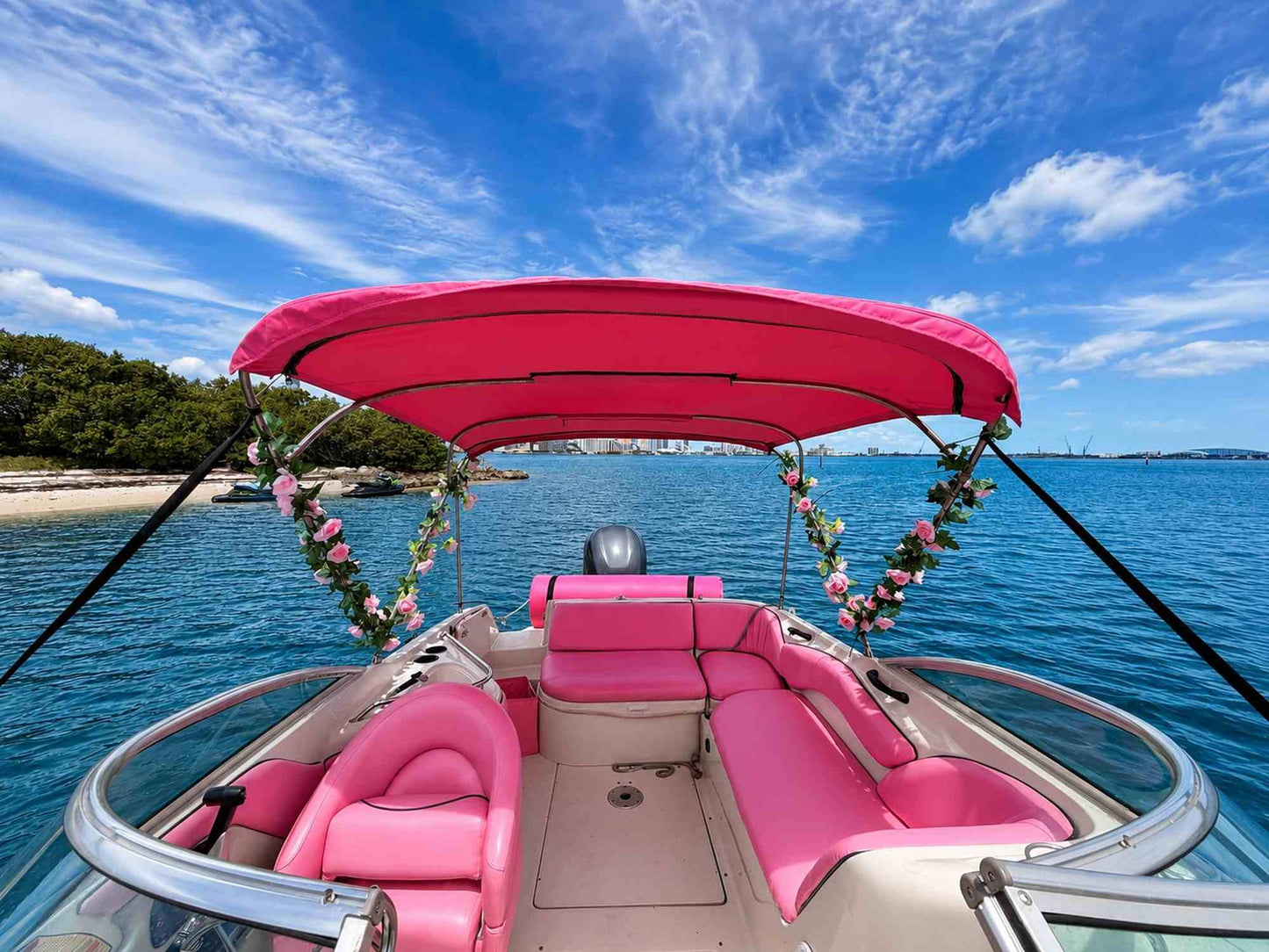 30ft Sea Ray Pink