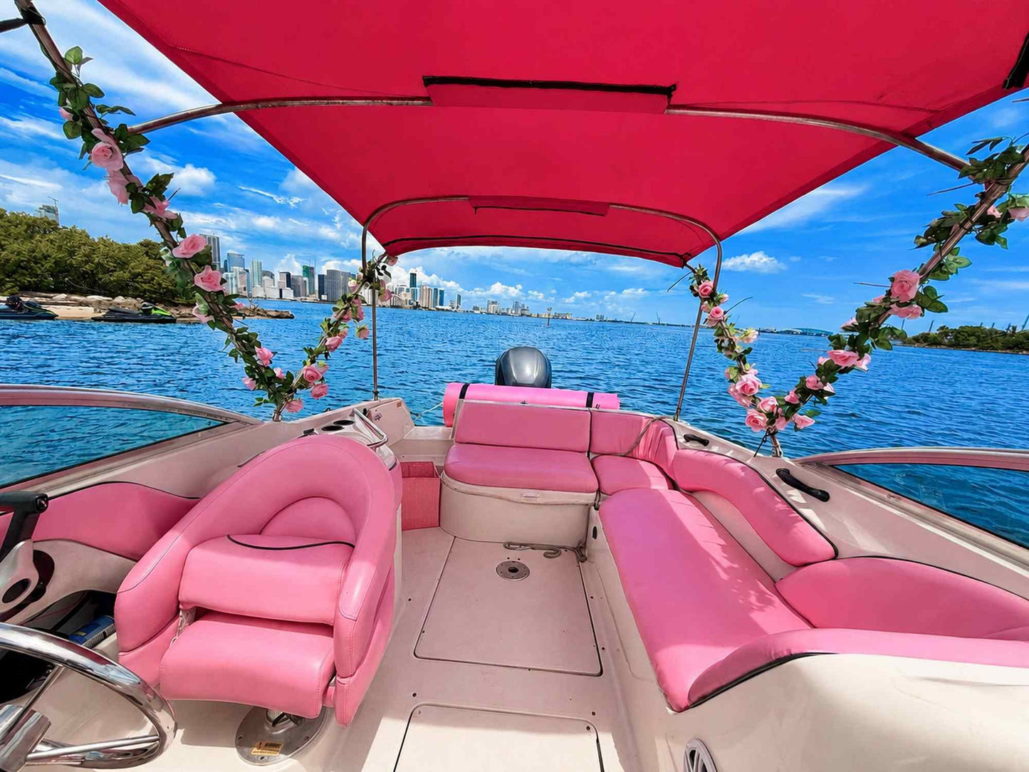30ft Sea Ray Pink