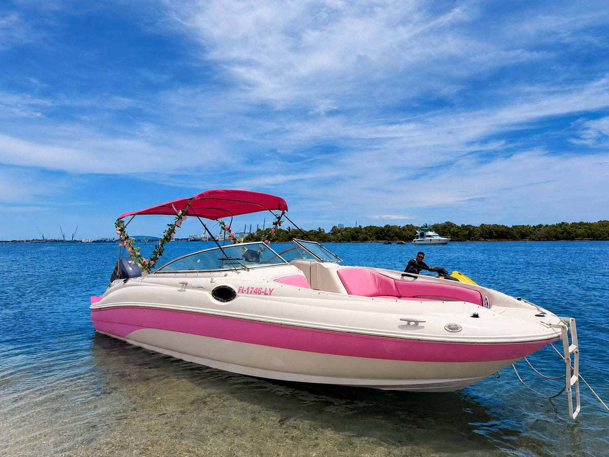 30ft Sea Ray Pink