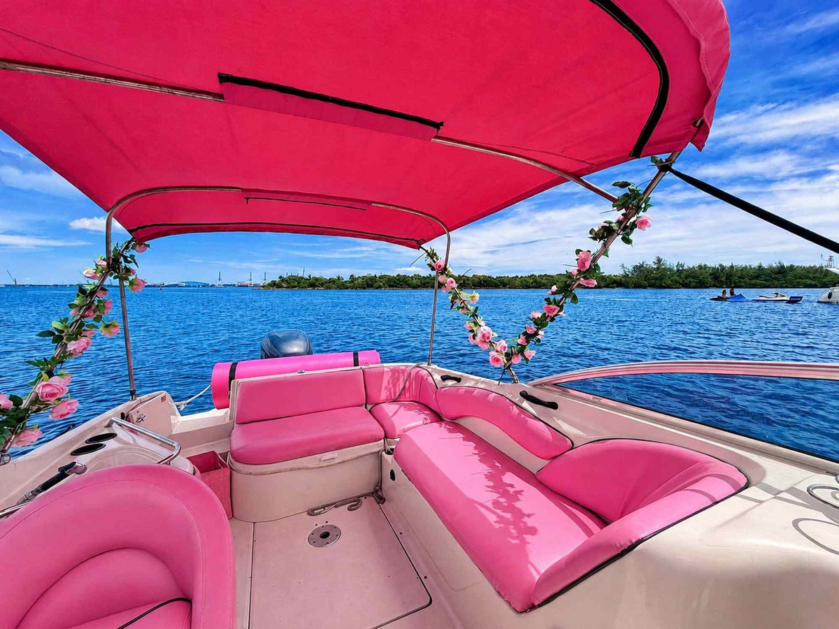 30ft Sea Ray Pink