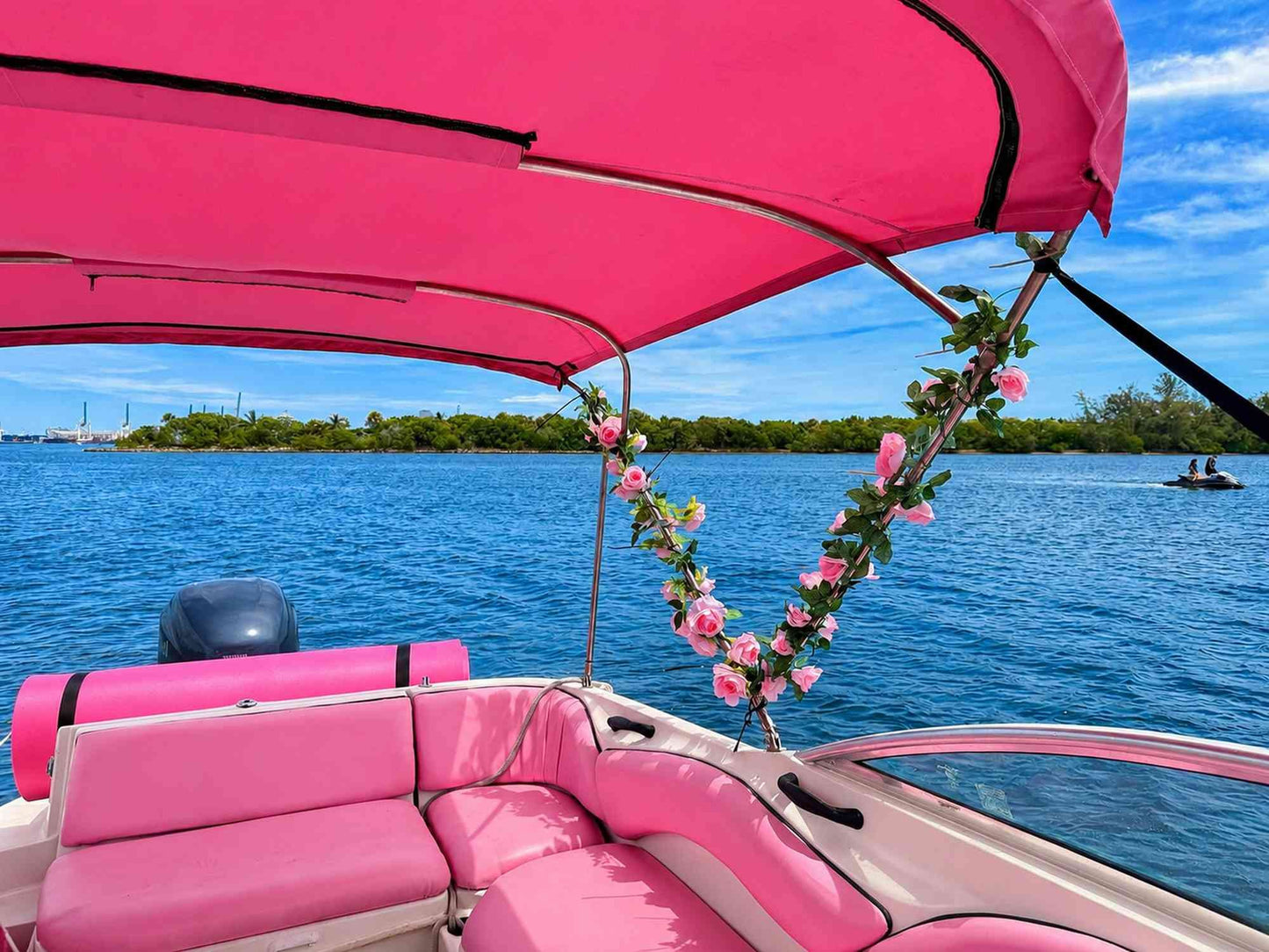 30ft Sea Ray Pink