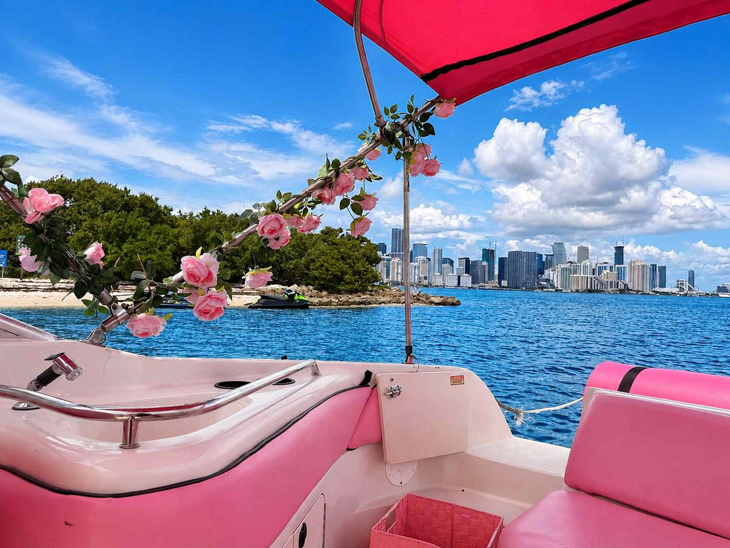 30ft Sea Ray Pink