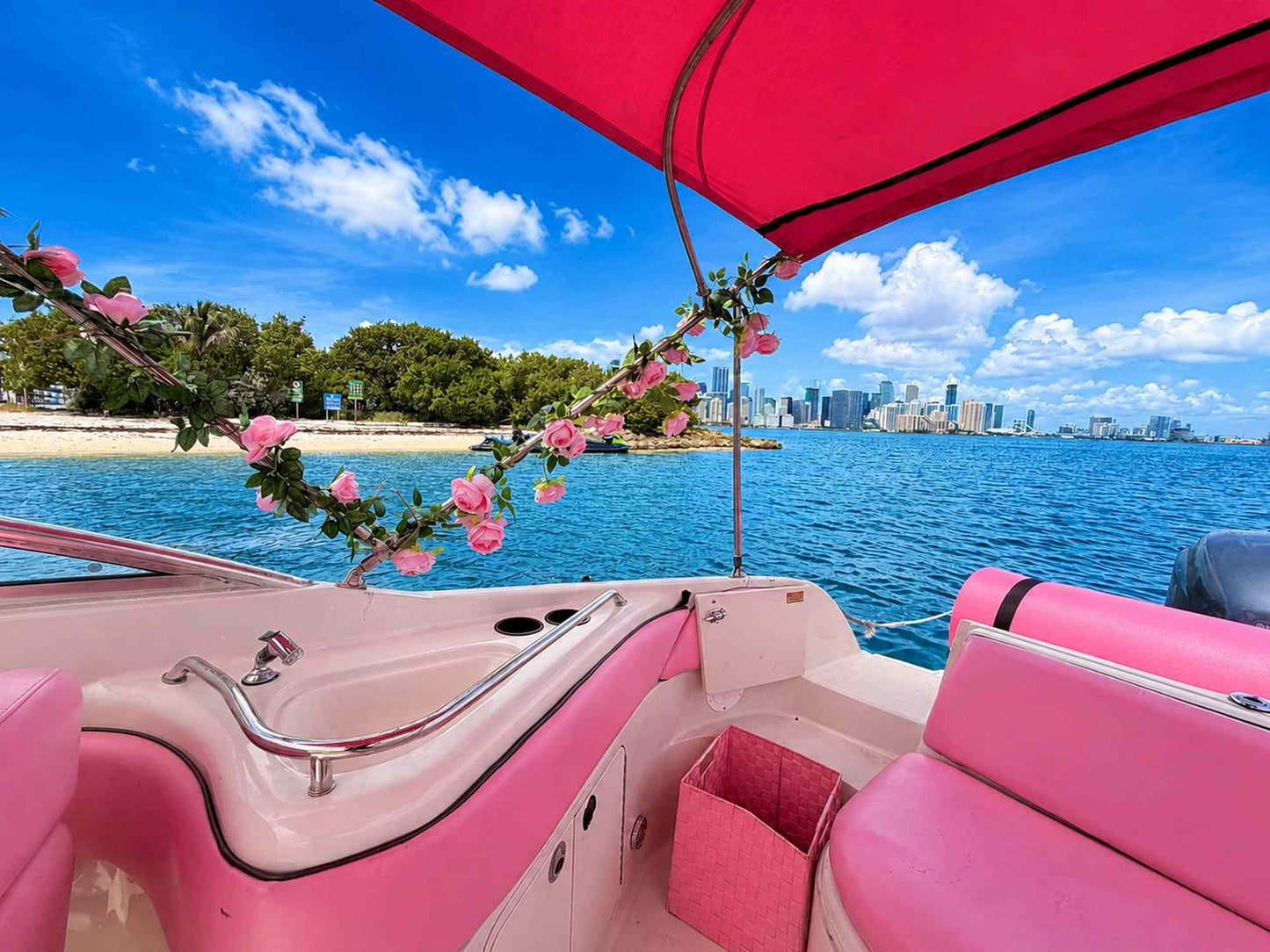 30ft Sea Ray Pink