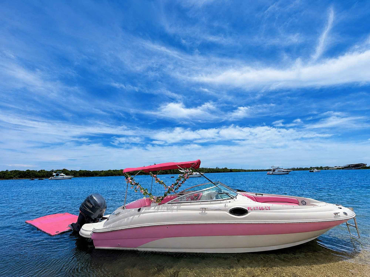 30ft Sea Ray Pink