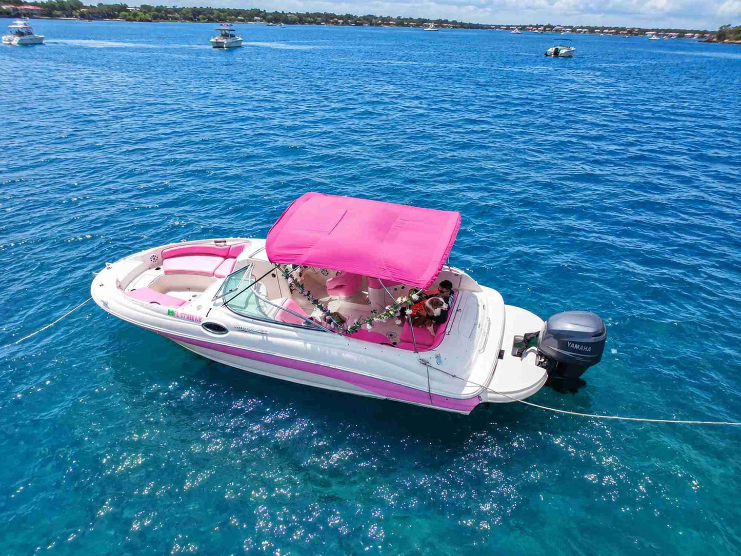 30ft Sea Ray Pink