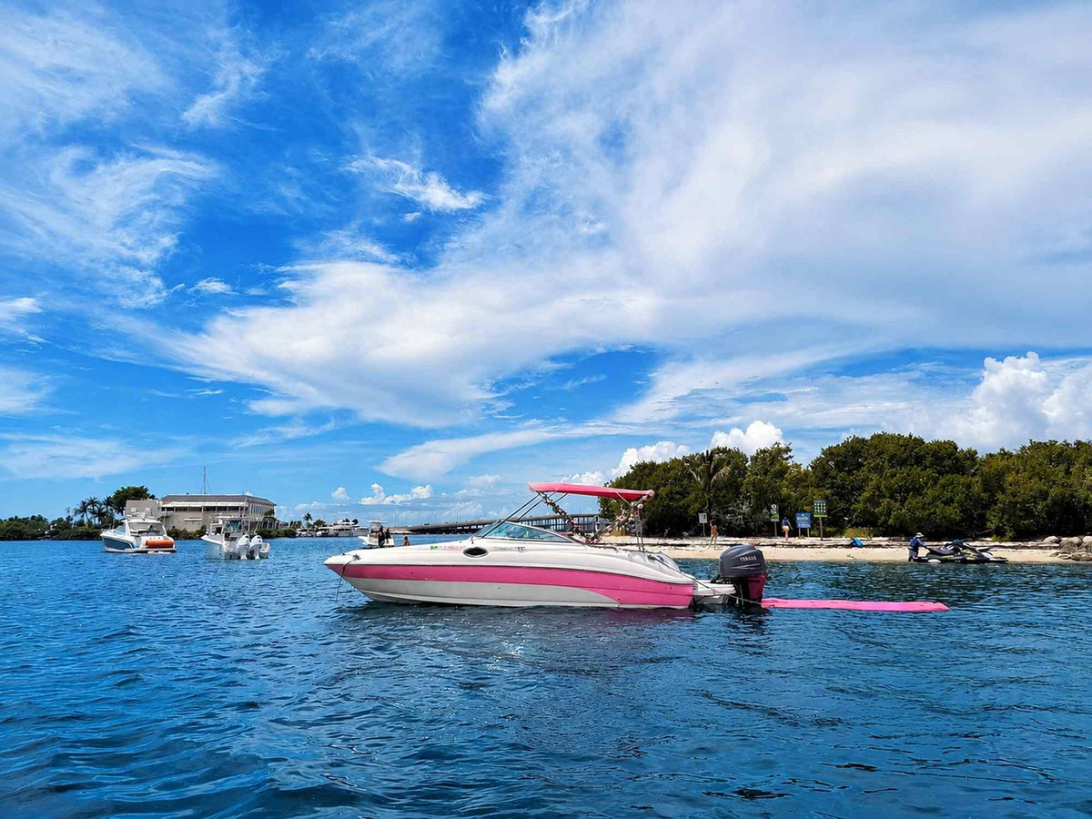 30ft Sea Ray Pink