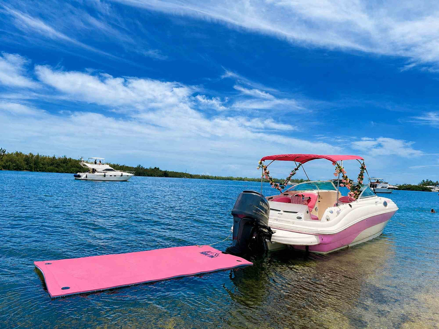 30ft Sea Ray Pink