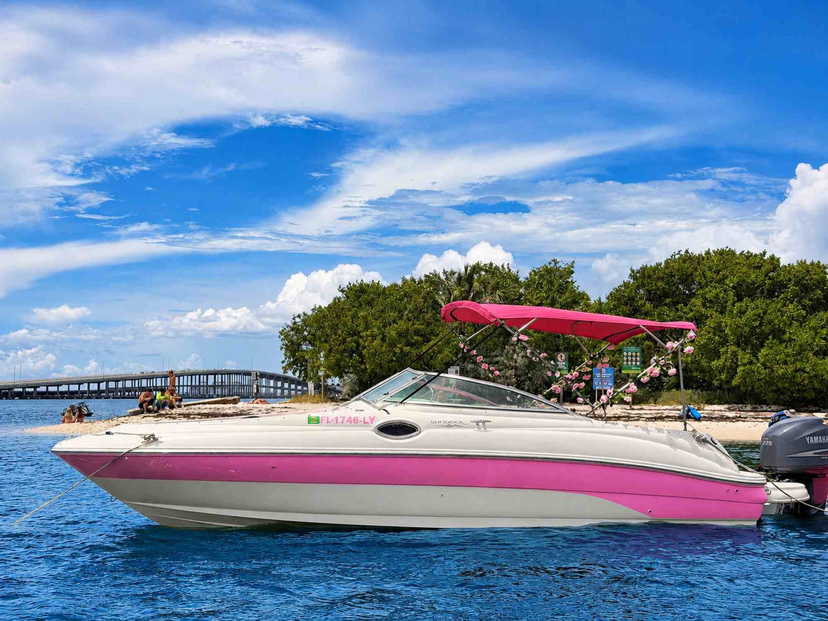 30ft Sea Ray Pink