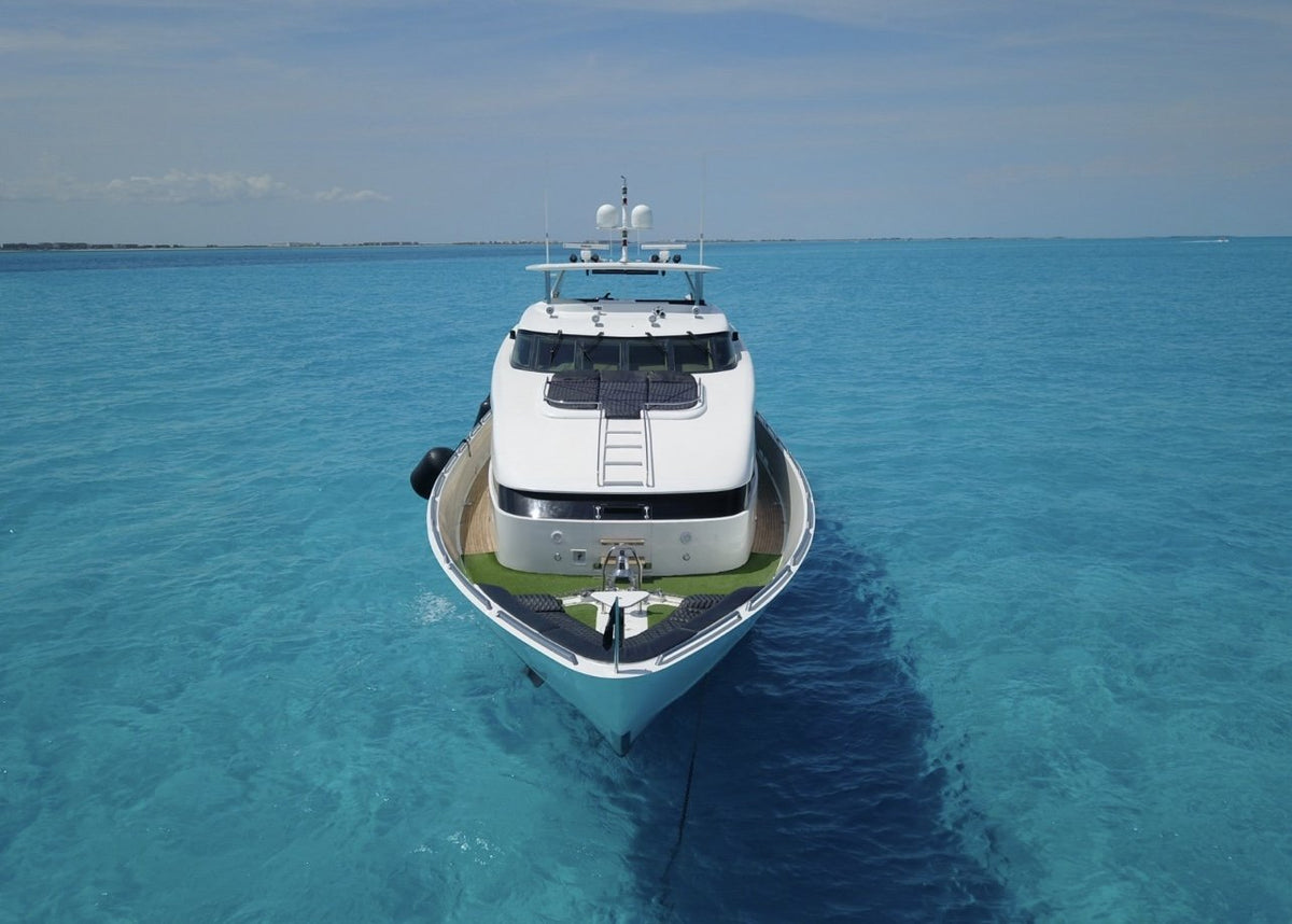 120ft Rex