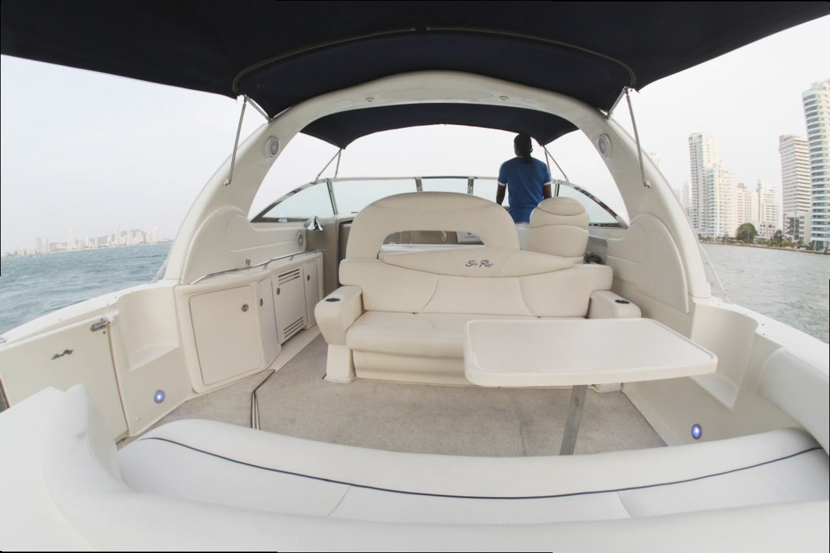 Sea Ray 410